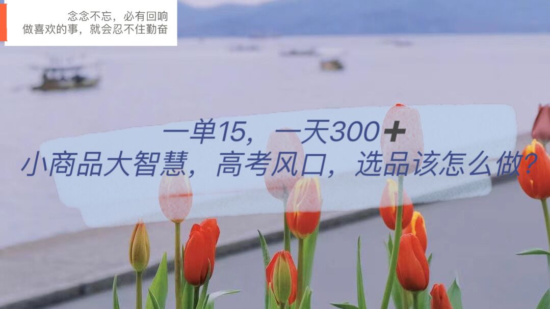 一单15，一天300+，小商品大智慧，高考风口，选品该怎么布局网创吧-网创项目资源站-副业项目-创业项目-搞钱项目八海掘金网创吧