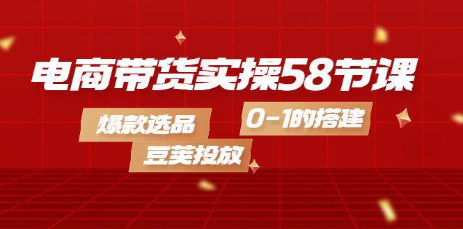电商带货实操58节课，爆款选品，豆荚投放，0-1的搭建网创吧-网创项目资源站-副业项目-创业项目-搞钱项目八海掘金网创吧