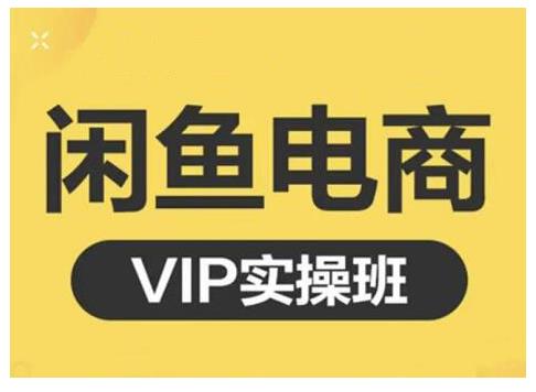 闲鱼电商零基础入门到进阶VIP实战课程，帮助你掌握闲鱼电商所需的各项技能网创吧-网创项目资源站-副业项目-创业项目-搞钱项目八海掘金网创吧