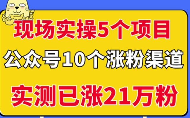 现场实操5个公众号项目，10个涨粉渠道，实测已涨21万粉！网创吧-网创项目资源站-副业项目-创业项目-搞钱项目八海掘金网创吧
