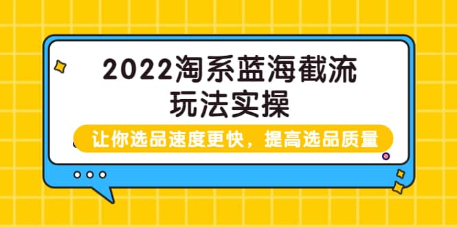 2022淘系蓝海截流玩法实操：让你选品速度更快，提高选品质量（价值599）网创吧-网创项目资源站-副业项目-创业项目-搞钱项目八海掘金网创吧