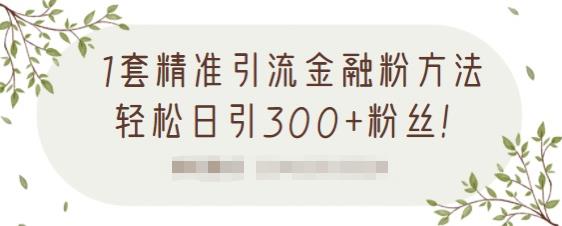 1套精准引流金融粉方法，轻松日引300+粉丝【视频课程】网创吧-网创项目资源站-副业项目-创业项目-搞钱项目八海掘金网创吧