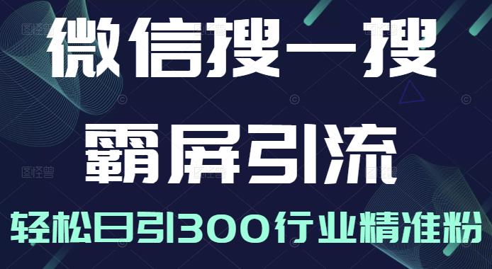 微信搜一搜霸屏引流课，打造被动精准引流系统，轻松日引300行业精准粉【无水印】网创吧-网创项目资源站-副业项目-创业项目-搞钱项目八海掘金网创吧