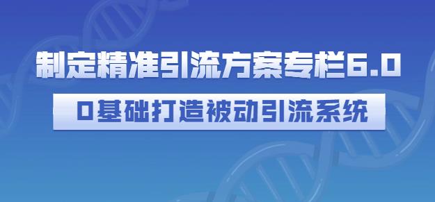 制定精准引流方案专栏6.0，0基础打造被动引流系统网创吧-网创项目资源站-副业项目-创业项目-搞钱项目八海掘金网创吧