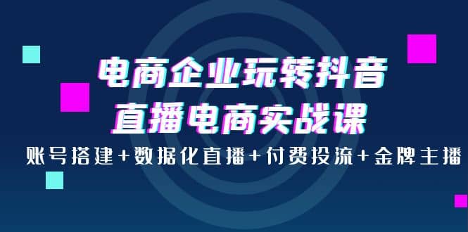 电商企业玩转抖音直播电商实战课：账号搭建+数据化直播+付费投流+金牌主播网创吧-网创项目资源站-副业项目-创业项目-搞钱项目八海掘金网创吧