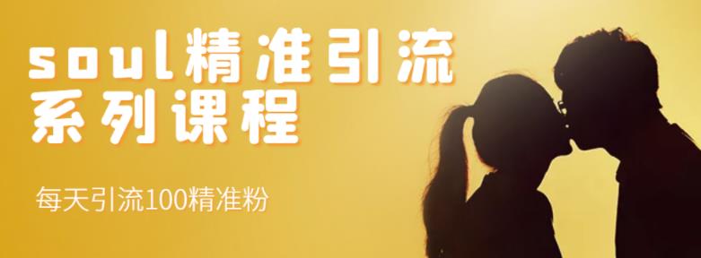 soul精准引流系列课程，每天引流100精准粉网创吧-网创项目资源站-副业项目-创业项目-搞钱项目八海掘金网创吧