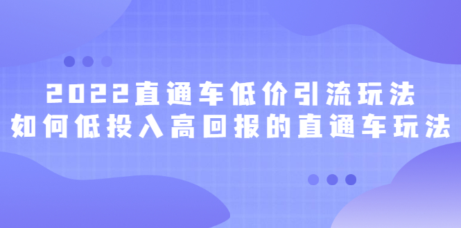 2022直通车低价引流玩法，教大家如何低投入高回报的直通车玩法网创吧-网创项目资源站-副业项目-创业项目-搞钱项目八海掘金网创吧