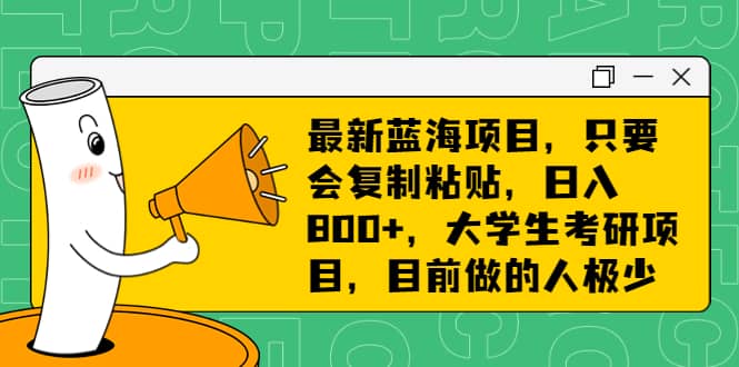 最新蓝海项目，只要会复制粘贴，日入800+，大学生考研项目，目前做的人极少网创吧-网创项目资源站-副业项目-创业项目-搞钱项目八海掘金网创吧