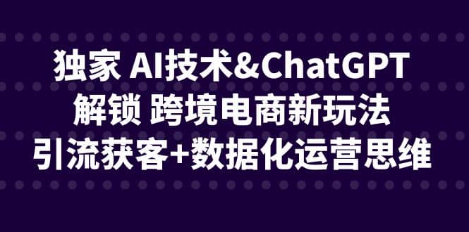 独家 AI技术ChatGPT解锁 跨境电商新玩法，引流获客+数据化运营思维网创吧-网创项目资源站-副业项目-创业项目-搞钱项目八海掘金网创吧
