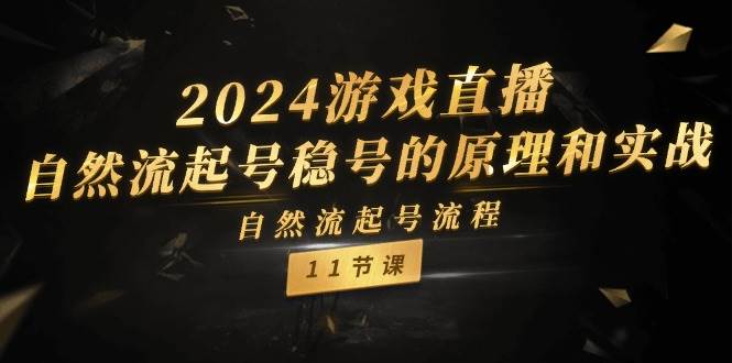 2024游戏直播-自然流起号稳号的原理和实战，自然流起号流程（11节）网创吧-网创项目资源站-副业项目-创业项目-搞钱项目八海掘金网创吧