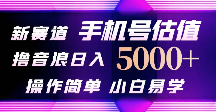 抖音不出境直播【手机号估值】最新撸音浪，日入5000+，简单易学，适合…网创吧-网创项目资源站-副业项目-创业项目-搞钱项目八海掘金网创吧