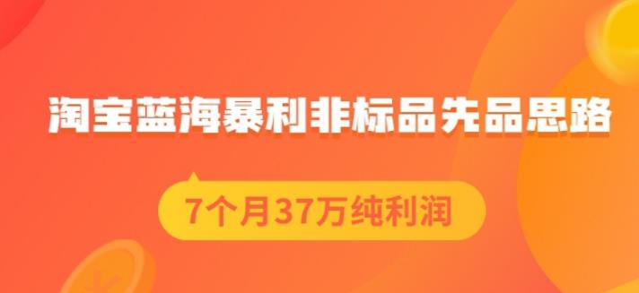 盗坤淘宝蓝海暴利非标品先品思路，7个月37万纯利润，压箱干货分享！【付费文章】网创吧-网创项目资源站-副业项目-创业项目-搞钱项目八海掘金网创吧