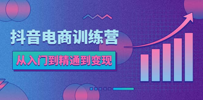 抖音电商训练营：从入门到精通，从账号定位到流量变现，抖店运营实操网创吧-网创项目资源站-副业项目-创业项目-搞钱项目八海掘金网创吧