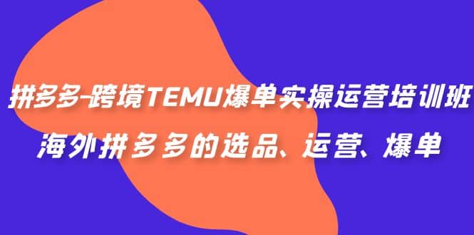 拼多多-跨境TEMU爆单实操运营培训班，海外拼多多的选品、运营、爆单网创吧-网创项目资源站-副业项目-创业项目-搞钱项目八海掘金网创吧