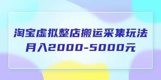 淘宝虚拟整店搬运采集玩法分享课：月入2000-5000元（5节课）网创吧-网创项目资源站-副业项目-创业项目-搞钱项目八海掘金网创吧