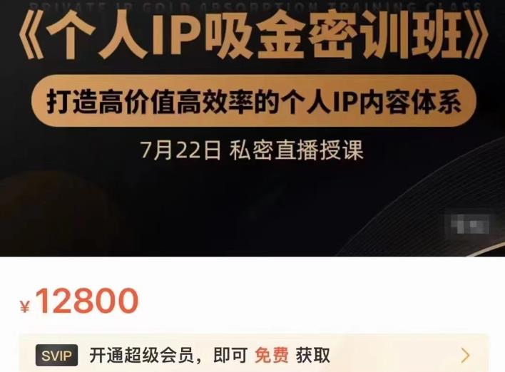 个人IP吸金密训班，打造高价值高效率的个人IP内容体系（价值12800元）网创吧-网创项目资源站-副业项目-创业项目-搞钱项目八海掘金网创吧