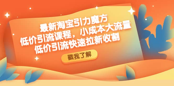最新淘宝引力魔方低价引流实操：小成本大流量网创吧-网创项目资源站-副业项目-创业项目-搞钱项目八海掘金网创吧