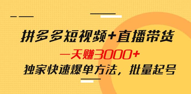 拼多多短视频+直播带货，一天赚3000+独家快速爆单方法，批量起号网创吧-网创项目资源站-副业项目-创业项目-搞钱项目八海掘金网创吧