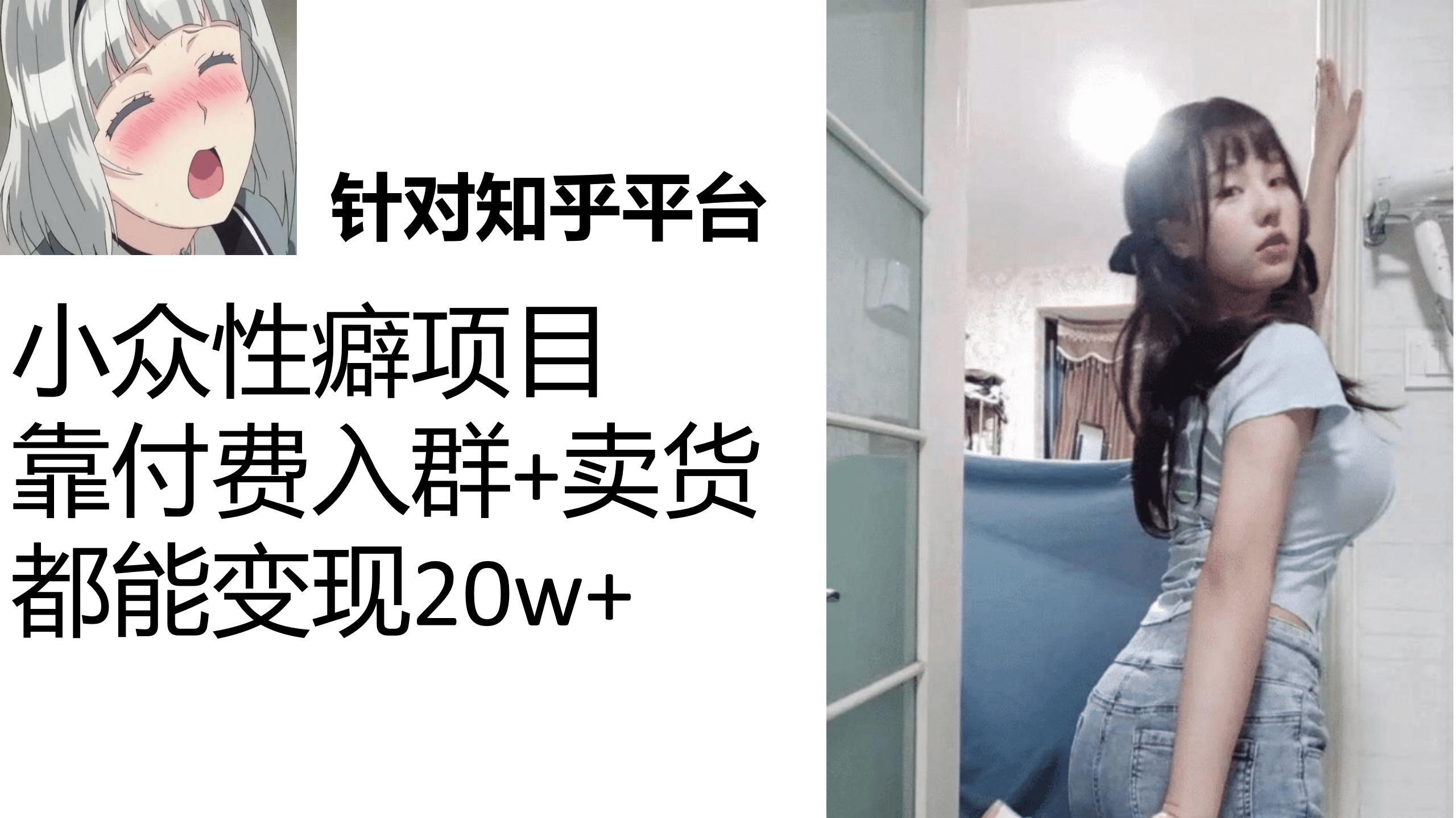 知乎小众性癖项目，Lsp的钱才是最好赚的，付费建群+卖货变现20w网创吧-网创项目资源站-副业项目-创业项目-搞钱项目八海掘金网创吧