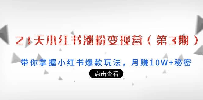21天小红书涨粉变现营（第3期）：带你掌握小红书爆款玩法，月赚10W+秘密网创吧-网创项目资源站-副业项目-创业项目-搞钱项目八海掘金网创吧