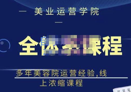 网红美容院全套营销落地课程，多年美容院运营经验，线上浓缩课程网创吧-网创项目资源站-副业项目-创业项目-搞钱项目八海掘金网创吧