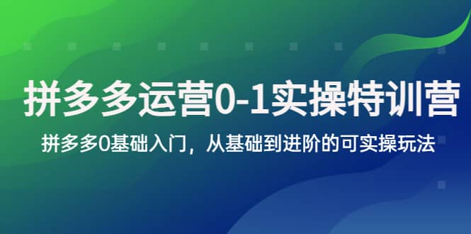 拼多多-运营0-1实操训练营，拼多多0基础入门，从基础到进阶的可实操玩法网创吧-网创项目资源站-副业项目-创业项目-搞钱项目八海掘金网创吧