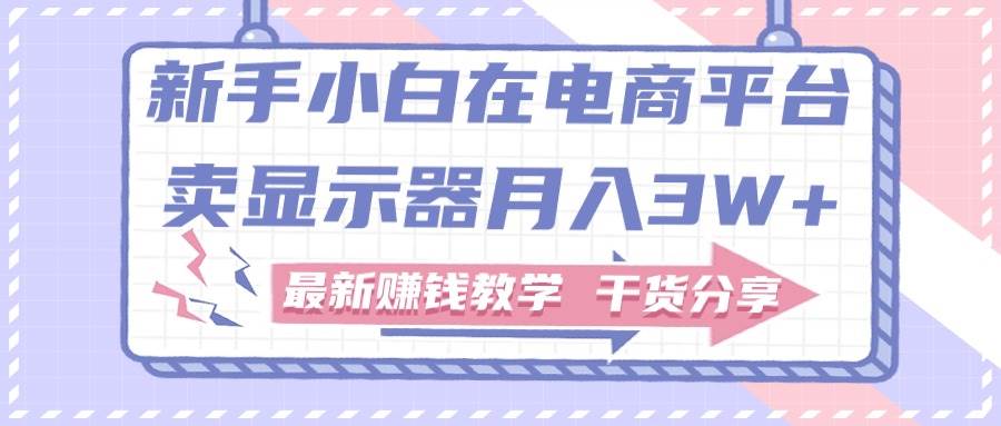 新手小白如何做到在电商平台卖显示器月入3W+，最新赚钱教学干货分享网创吧-网创项目资源站-副业项目-创业项目-搞钱项目八海掘金网创吧