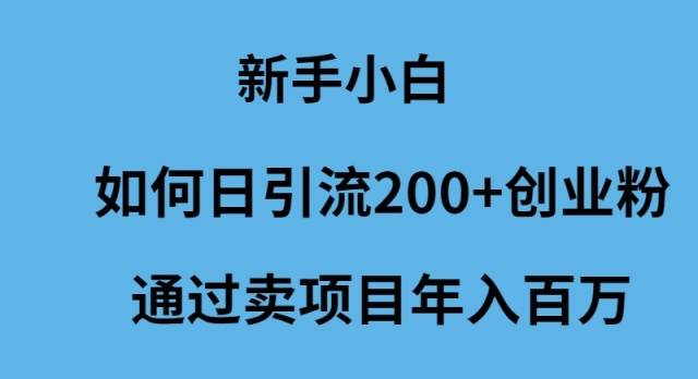 新手小白如何日引流200+创业粉通过卖项目年入百万网创吧-网创项目资源站-副业项目-创业项目-搞钱项目八海掘金网创吧