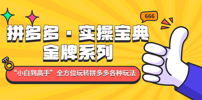 拼多多·实操宝典：金牌系列“小白到高手”带你全方位玩转拼多多各种玩法网创吧-网创项目资源站-副业项目-创业项目-搞钱项目八海掘金网创吧