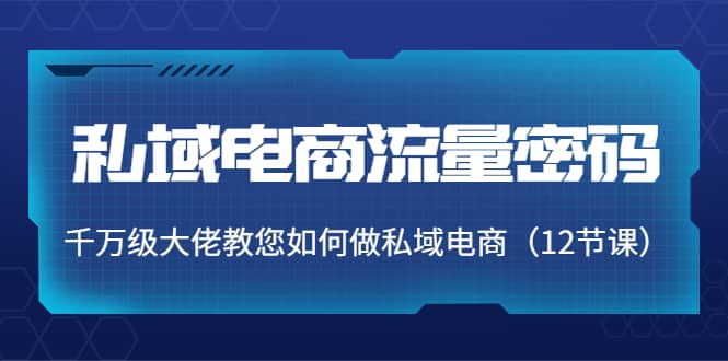 私域电商流量密码：千万级大佬教您如何做私域电商（12节课）网创吧-网创项目资源站-副业项目-创业项目-搞钱项目八海掘金网创吧