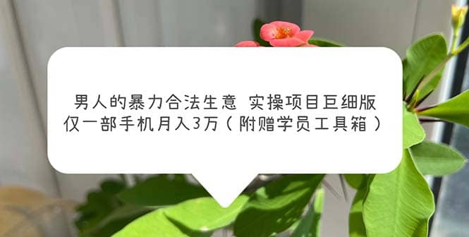 男人的暴力合法生意实操项目巨细版：仅一部手机月入3w（附赠学员工具箱）网创吧-网创项目资源站-副业项目-创业项目-搞钱项目八海掘金网创吧