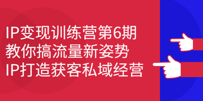 IP变现训练营第6期：教你搞流量新姿势，IP打造获客私域经营网创吧-网创项目资源站-副业项目-创业项目-搞钱项目八海掘金网创吧