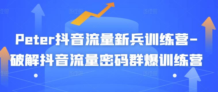 Peter抖音流量新兵训练营-破解抖音流量密码群爆训练营（新兵）网创吧-网创项目资源站-副业项目-创业项目-搞钱项目八海掘金网创吧