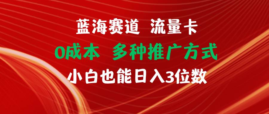 蓝海赛道 流量卡 0成本 小白也能日入三位数网创吧-网创项目资源站-副业项目-创业项目-搞钱项目八海掘金网创吧