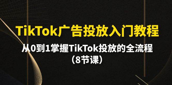TikTok广告投放入门教程，从0到1掌握TikTok投放的全流程（8节课）网创吧-网创项目资源站-副业项目-创业项目-搞钱项目八海掘金网创吧