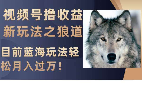 视频号撸收益新玩法之狼道，目前蓝海玩法轻松月入过万！网创吧-网创项目资源站-副业项目-创业项目-搞钱项目八海掘金网创吧