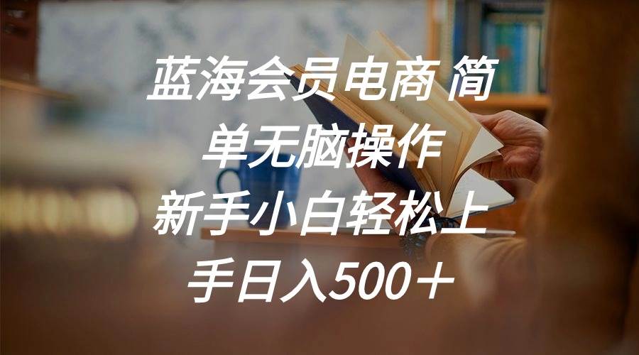蓝海会员电商 简单无脑操作 新手小白轻松上手日入500＋网创吧-网创项目资源站-副业项目-创业项目-搞钱项目八海掘金网创吧