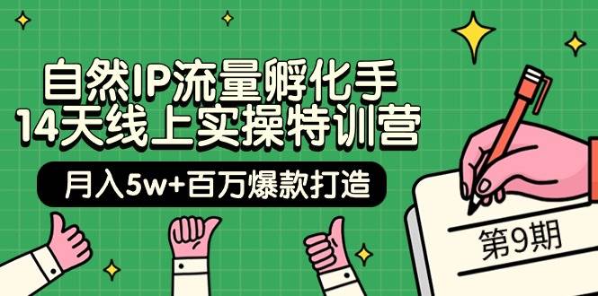 自然IP流量孵化手 14天线上实操特训营【第9期】月入5w+百万爆款打造 (74节)网创吧-网创项目资源站-副业项目-创业项目-搞钱项目八海掘金网创吧