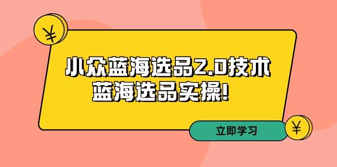 拼多多培训第33期：小众蓝海选品2.0技术-蓝海选品实操！网创吧-网创项目资源站-副业项目-创业项目-搞钱项目八海掘金网创吧
