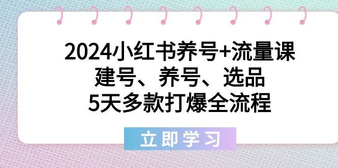 2024小红书养号+流量课：建号、养号、选品，5天多款打爆全流程网创吧-网创项目资源站-副业项目-创业项目-搞钱项目八海掘金网创吧