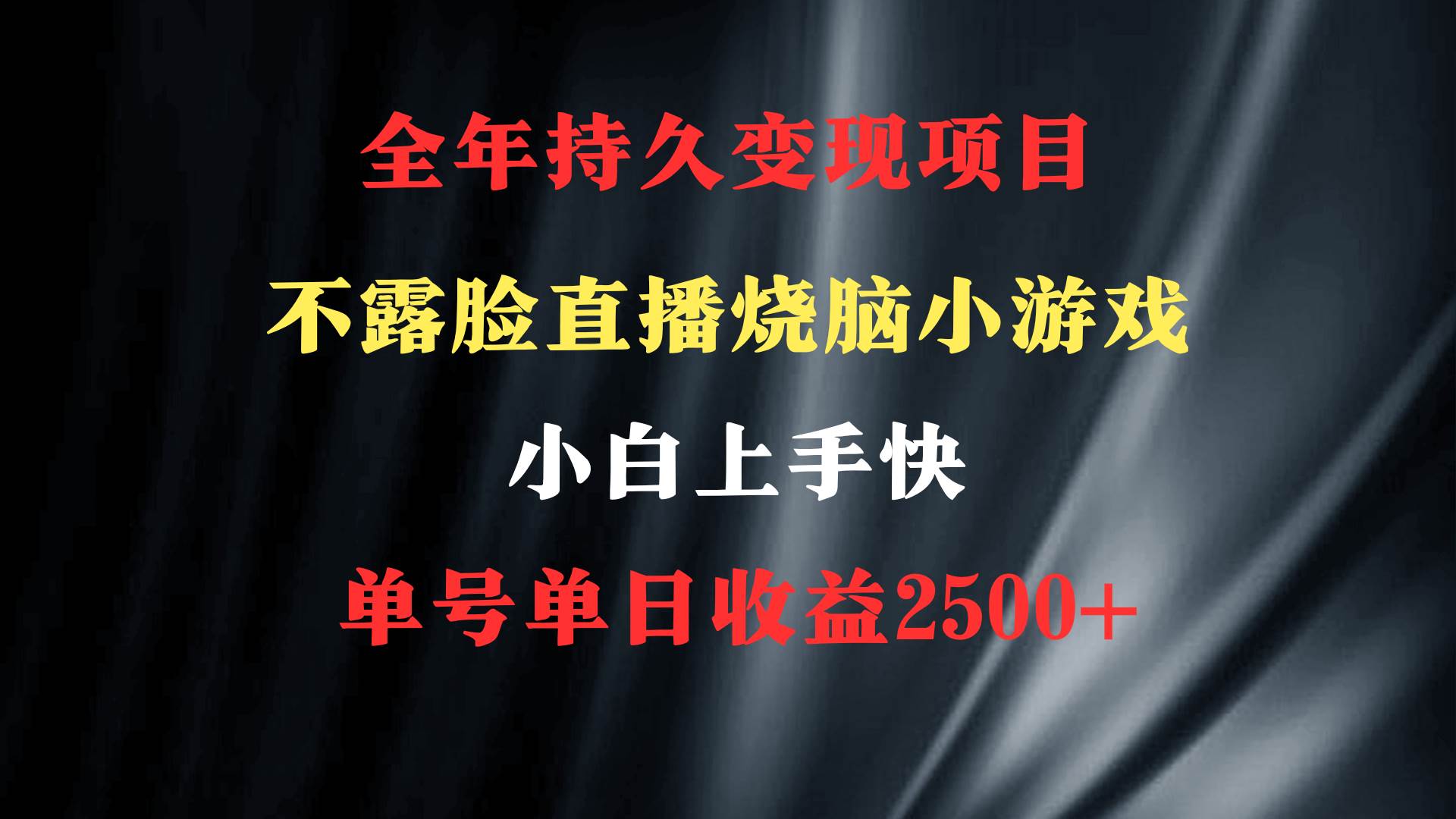 2024年 最优项目，烧脑小游戏不露脸直播  小白上手快 无门槛 一天收益2500+网创吧-网创项目资源站-副业项目-创业项目-搞钱项目八海掘金网创吧