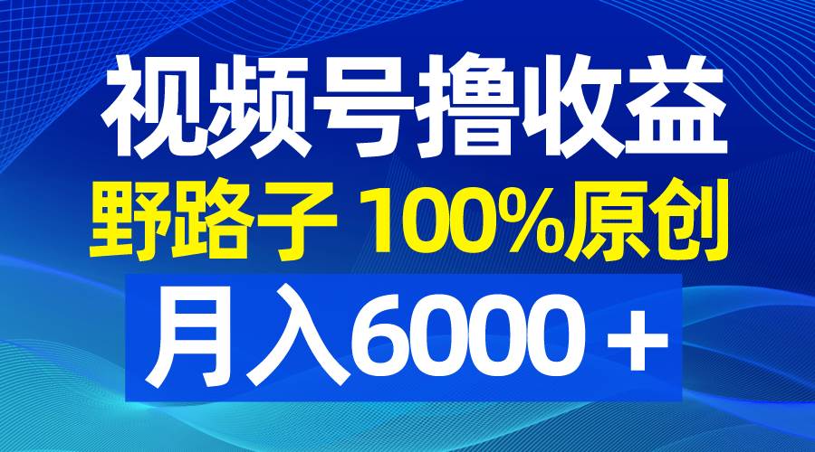 视频号野路子撸收益，100%原创，条条爆款，月入6000＋网创吧-网创项目资源站-副业项目-创业项目-搞钱项目八海掘金网创吧