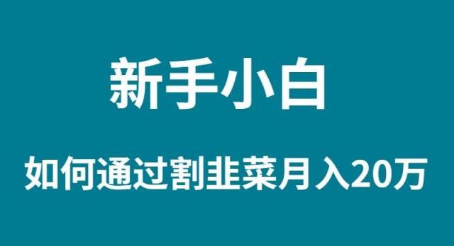 新手小白如何通过割韭菜月入 20W网创吧-网创项目资源站-副业项目-创业项目-搞钱项目八海掘金网创吧
