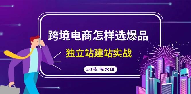 跨境电商怎样选爆品，独立站建站实战（20节高清无水印课）网创吧-网创项目资源站-副业项目-创业项目-搞钱项目八海掘金网创吧
