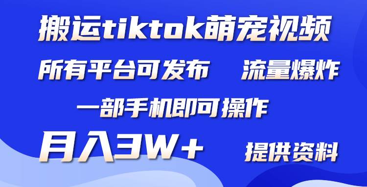 搬运Tiktok萌宠类视频，一部手机即可。所有短视频平台均可操作，月入3W+网创吧-网创项目资源站-副业项目-创业项目-搞钱项目八海掘金网创吧