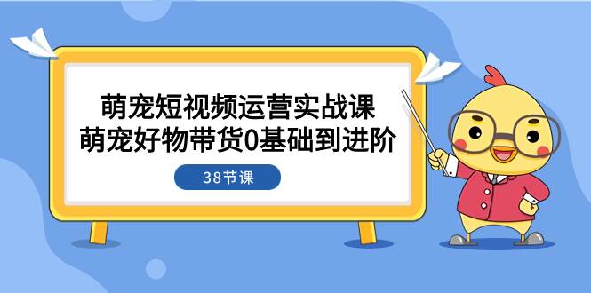 萌宠·短视频运营实战课：萌宠好物带货0基础到进阶（38节课）网创吧-网创项目资源站-副业项目-创业项目-搞钱项目八海掘金网创吧