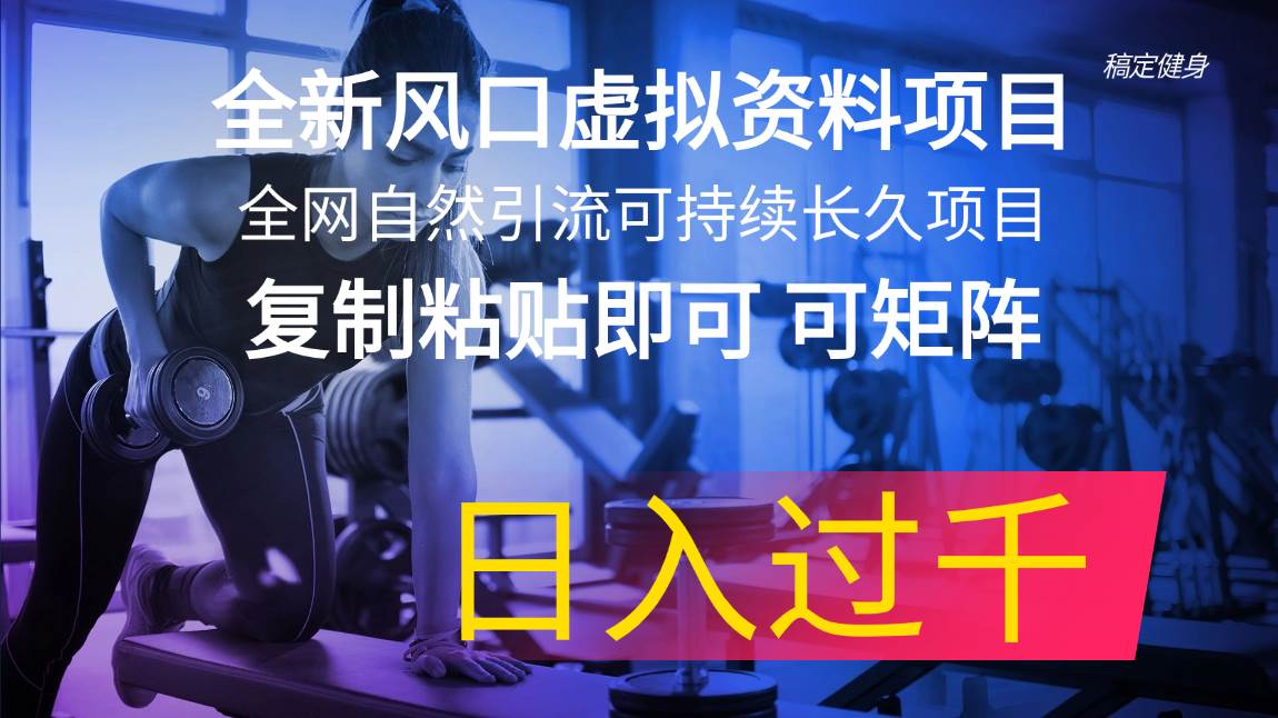 全新风口虚拟资料项目 全网自然引流可持续长久项目 复制粘贴即可可矩阵…网创吧-网创项目资源站-副业项目-创业项目-搞钱项目八海掘金网创吧