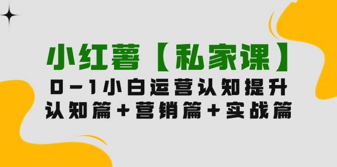 小红薯【私家课】0-1玩赚小红书内容营销，认知篇+营销篇+实战篇（11节课）网创吧-网创项目资源站-副业项目-创业项目-搞钱项目八海掘金网创吧