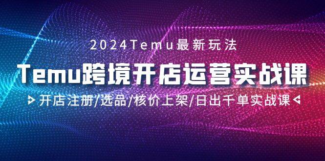 2024Temu跨境开店运营实战课，开店注册/选品/核价上架/日出千单实战课网创吧-网创项目资源站-副业项目-创业项目-搞钱项目八海掘金网创吧