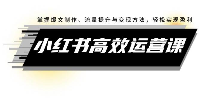 小红书高效运营课：掌握爆文制作、流量提升与变现方法，轻松实现盈利网创吧-网创项目资源站-副业项目-创业项目-搞钱项目八海掘金网创吧